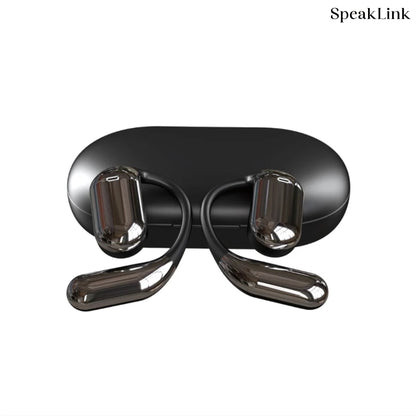 Translation EarBuds