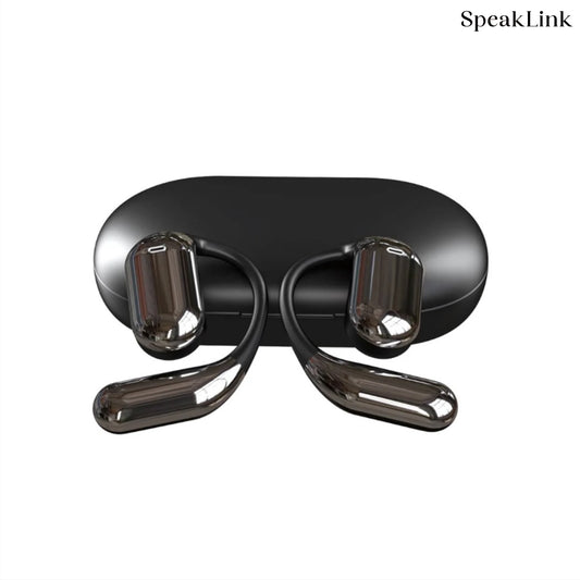 Translation EarBuds