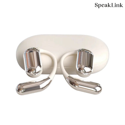 Translation EarBuds